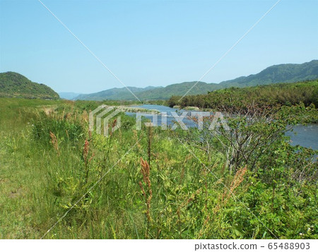 在Sambagawa的初夏 65488903