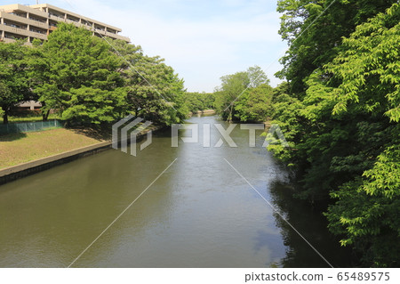 東京葛飾區Komonbashi 東京葛飾區Komonbashi 65489575