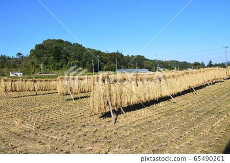 日本稻岳的原始風光（ita玉縣秩父市） 65490201