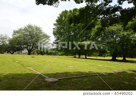 武藏國家國分寺遺址基石（東京武藏國分寺公園/東京國分寺市西尾町） 65490202