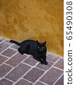 Black cat laying in a street of Chania  65490308