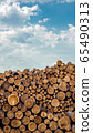 Pile of stacked wood logs with the sky as background 65490313
