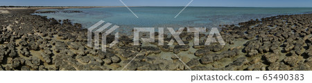 Stromatolite 65490383
