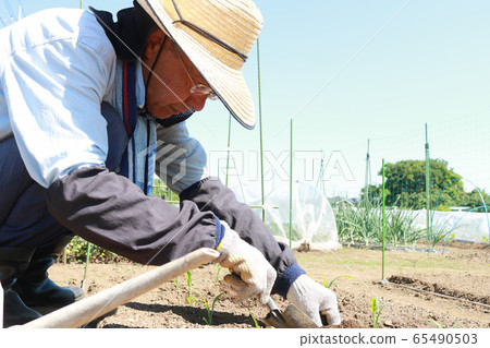 高級男性農民 65490503