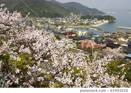 福山杏和瀨戶內的風景在田ji 65491638