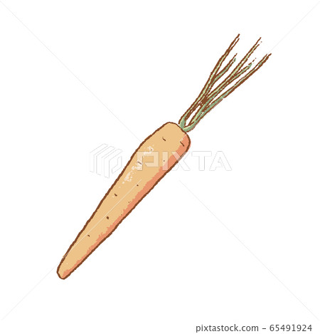 Fresh Carrot with green stems isolated icon Fresh Carrot with green stems isolated icon 65491924