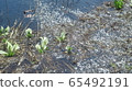 Thaw 65492191