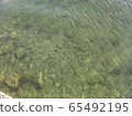 small fish 65492195