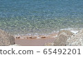Wave 65492201
