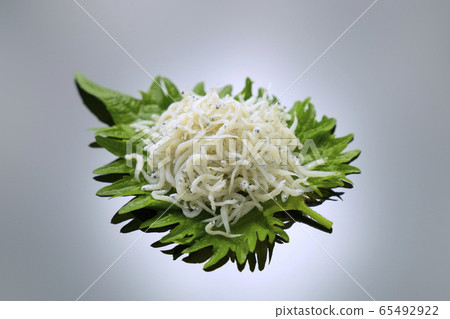 白蘇幹樹葉 65492922