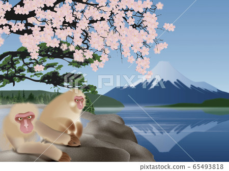 Illustration of Mount Fuji, cherry blossoms, and monkeys Illustration of Mount Fuji, cherry blossoms, and monkeys 65493818
