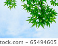Momiji 65494605