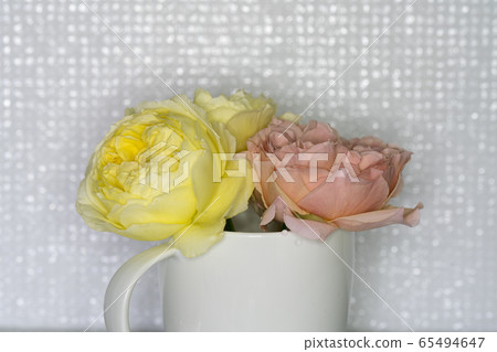 切花的玫瑰 65494647