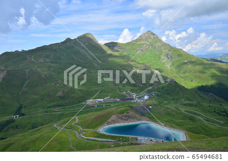 Swiss Alps Swiss Alps 65494681