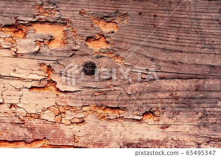 Wooden texture with scratches and cracks Wooden texture with scratches and cracks 65495347