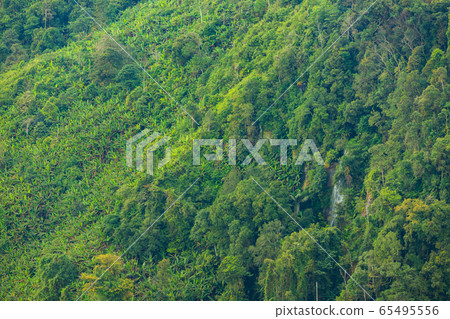 Landscape nature in Phu Thap Boek Thailand. Landscape nature in Phu Thap Boek Thailand. 65495556