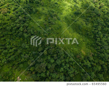 Landscape nature in Phu Thap Boek Thailand. Landscape nature in Phu Thap Boek Thailand. 65495560