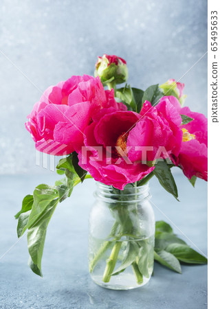Peony Madame Butterfly Peony Madame Butterfly 65495633