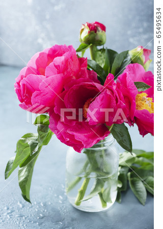 Peony Madame Butterfly Peony Madame Butterfly 65495634