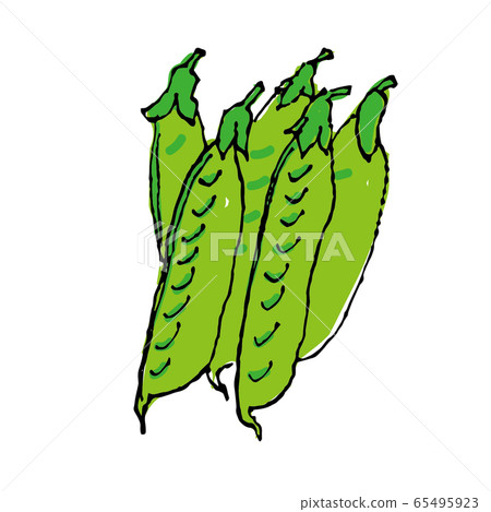 豌豆 豌豆 65495923