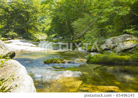 東野重經 65496145