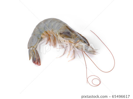 raw shrimp isolated on white background raw shrimp isolated on white background 65496617