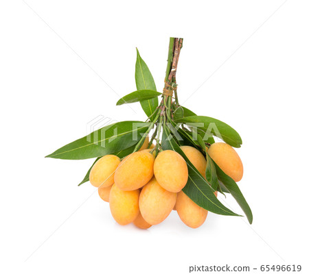 maprang fruit , marian plum, or plum mango maprang fruit , marian plum, or plum mango 65496619