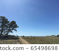 晴朗的一天 65498698