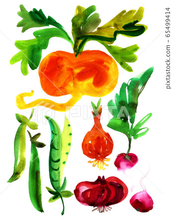 Watercolor vegetables in naive style. Botanical elements isolated on white. Hand drawn turnip, beet, pea, carrot, radish. Naive decorative illustration. Watercolor vegetables in naive style. Botanical elements isolated on white. Hand drawn turnip, beet, pea, carrot, radish. Naive decorative illustration. 65499414