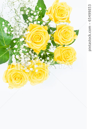 Yellow rose for Father's Day 65499853