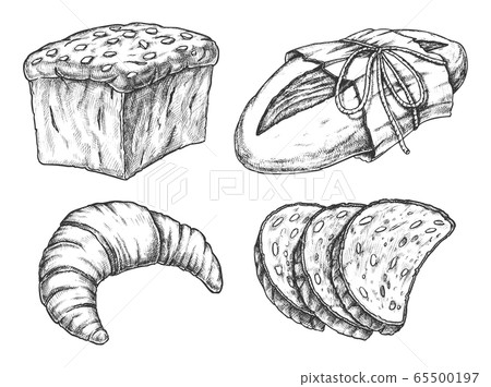Isolated vector illustration of cereal food, bread 65500197