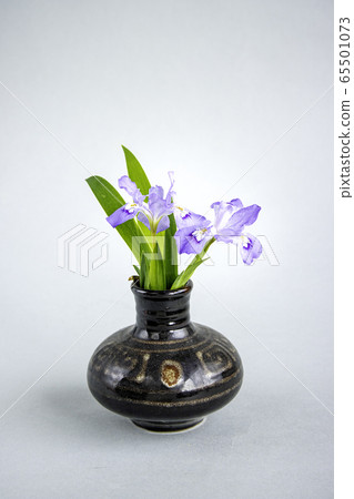 Ichihatsu Ichihatsu 65501073