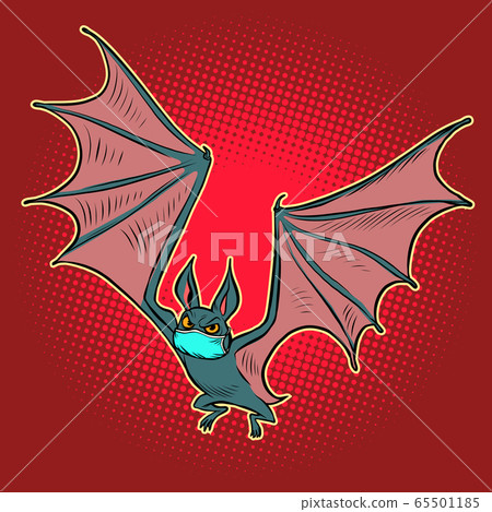 the bat is a vector of the virus 65501185