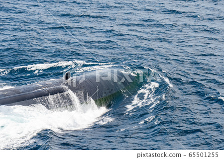 Bow of the fast attack nuclear submarine of U.S.Navy above the sea surface Bow of the fast attack nuclear submarine of U.S.Navy above the sea surface 65501255