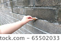 Snail and child's hand 65502033