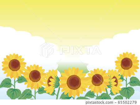 Sunflower summer sky landscape background copy space 65502279