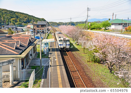 Nishizoeda Station and Sakura Nishizoeda Station and Sakura 65504976