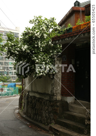 城北區正陵洞胡同胡同 65505425