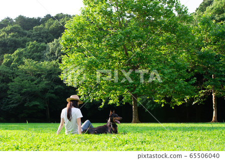 Dogs and relaxing women 65506040