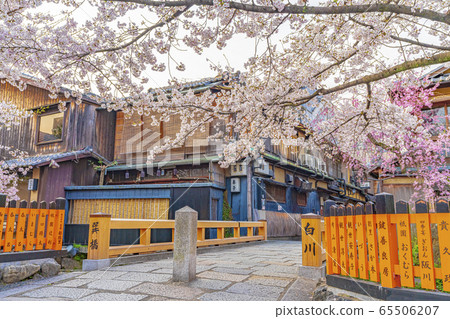 Kyoto Spring Gion Shirakawa Tatsuhashi Kyoto Spring Gion Shirakawa Tatsuhashi 65506207