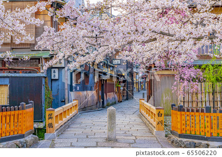 Kyoto Spring Gion Shirakawa Tatsuhashi 65506220