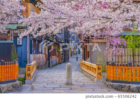 Kyoto Spring Gion Shirakawa Tatsuhashi 65506242