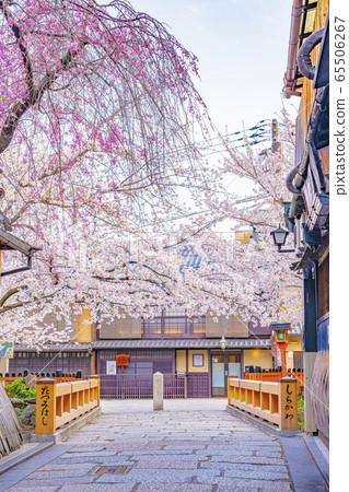 Kyoto Spring Gion Shirakawa Tatsuhashi Kyoto Spring Gion Shirakawa Tatsuhashi 65506267