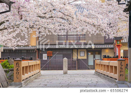 Kyoto Spring Gion Shirakawa Tatsuhashi Kyoto Spring Gion Shirakawa Tatsuhashi 65506274