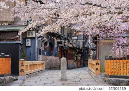 Kyoto Spring Gion Shirakawa Tatsuhashi 65506289