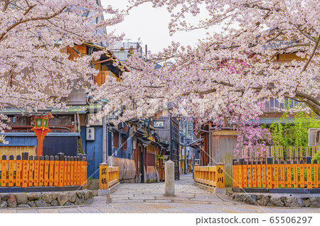 Kyoto Spring Gion Shirakawa Tatsuhashi Kyoto Spring Gion Shirakawa Tatsuhashi 65506297