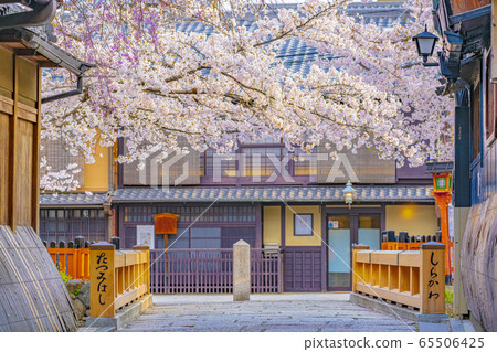 京都春天只園白河達橋 65506425