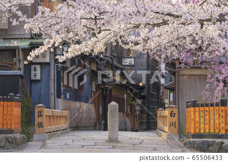 Kyoto Spring Gion Shirakawa Tatsuhashi Kyoto Spring Gion Shirakawa Tatsuhashi 65506433