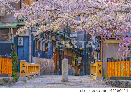 Kyoto Spring Gion Shirakawa Tatsuhashi Kyoto Spring Gion Shirakawa Tatsuhashi 65506434