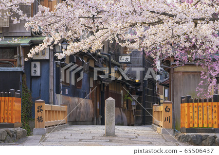 Kyoto Spring Gion Shirakawa Tatsuhashi Kyoto Spring Gion Shirakawa Tatsuhashi 65506437